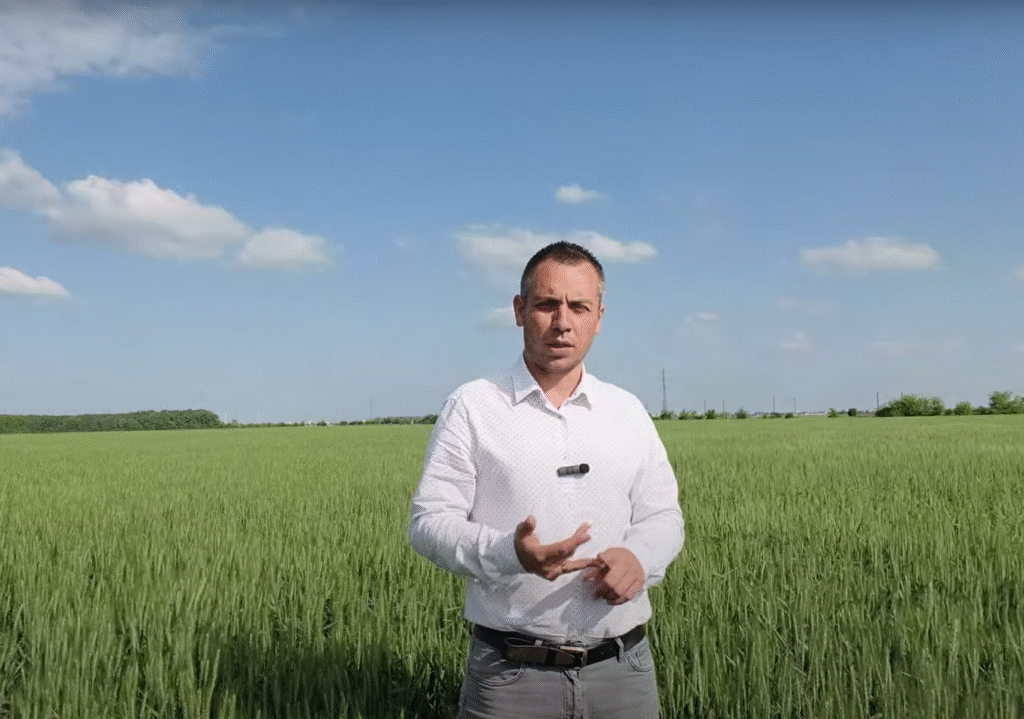 Tot ce trebuie să știi despre multiplicarea grâului: categorii biologice, legislație, condiții și pași practici