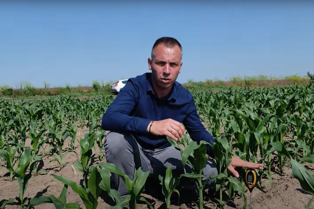 Tot ce trebuie să știi despre pH-ul solului: ce înseamnă, cum îl măsurăm și cum îl corectăm