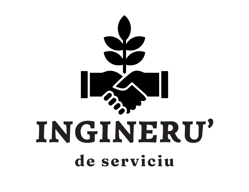 Ingineru' de serviciu