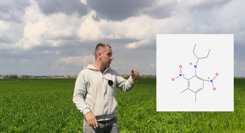 Nu există erbicid universal în grâu – ghid complet pe substanțe active, produse și spectru de combatere