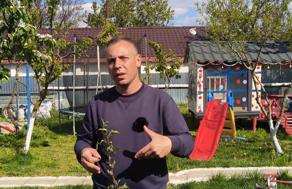 Frunze răsucite la păr? Nu e boală – identificarea corectă și tratamentul eficient