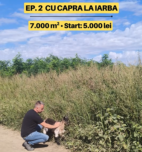 Am încercat să curăț 7.000 m² cu o capră | EP. 2